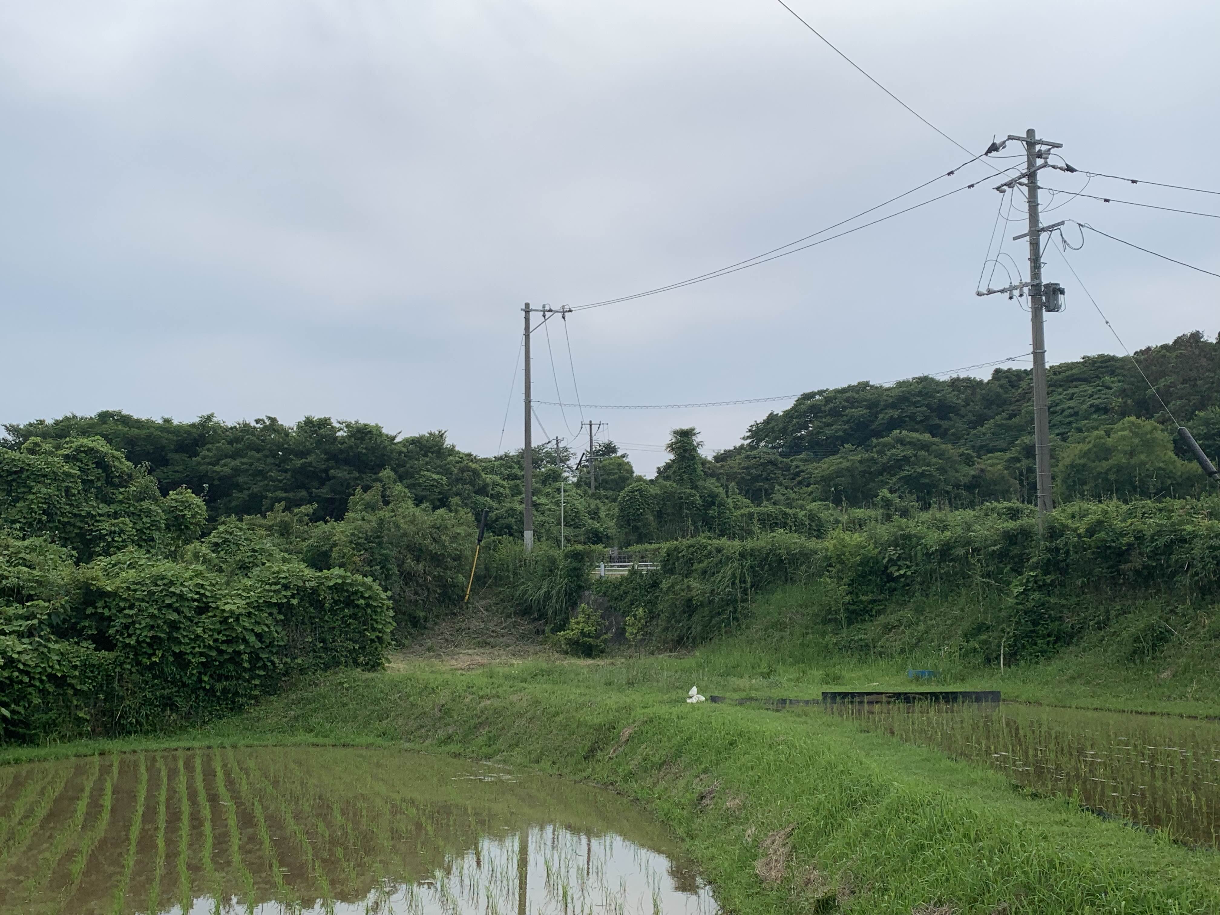 JAPAN